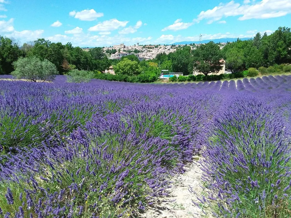 Au pays de la lavande... Valensole Сasa de vacaciones